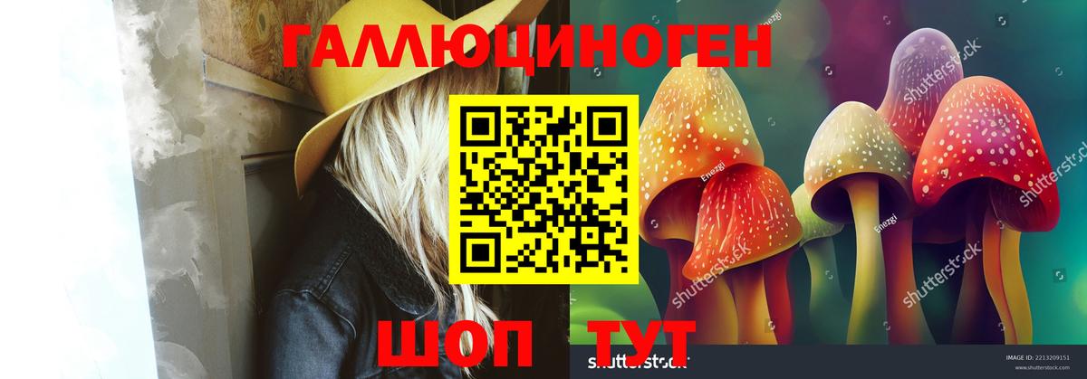 Галлюциногенные грибы Magic Shrooms  Псилоцибиновые грибы ЛСД  Татарск  Вход с VPN 