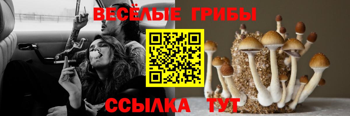 Галлюциногенные грибы мицелий Татарск